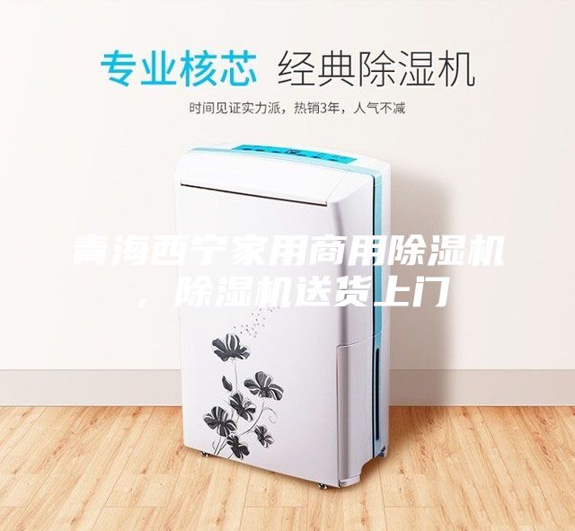 青海西寧家用商用除濕機，除濕機送貨上門