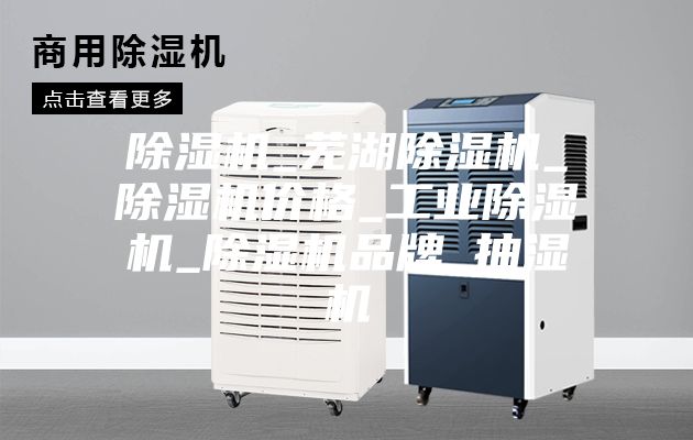 除濕機_蕪湖除濕機_除濕機價格_工業除濕機_除濕機品牌_抽濕機