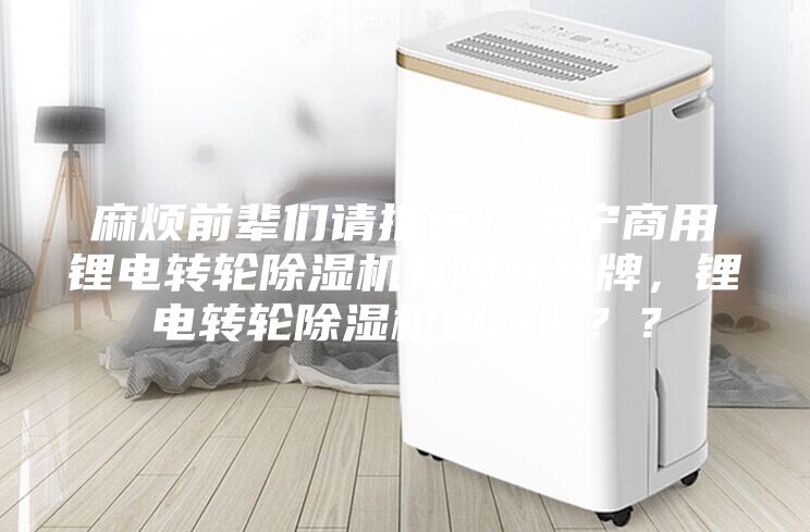 麻煩前輩們請推薦！南寧商用鋰電轉輪除濕機有哪些品牌，鋰電轉輪除濕機如何選？？